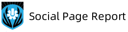 Social Media Report Tool
